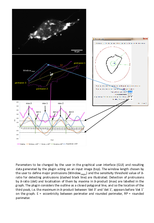 (PDF) Example for the use of the ImageJ plugin on images generated by ...