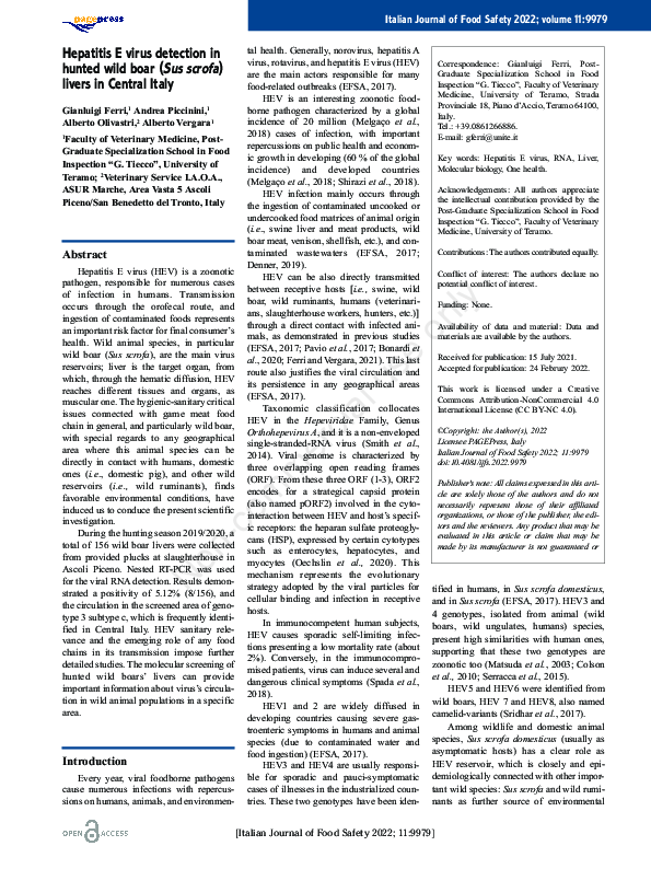 (PDF) Hepatitis E virus detection in hunted wild boar (Sus scrofa ...