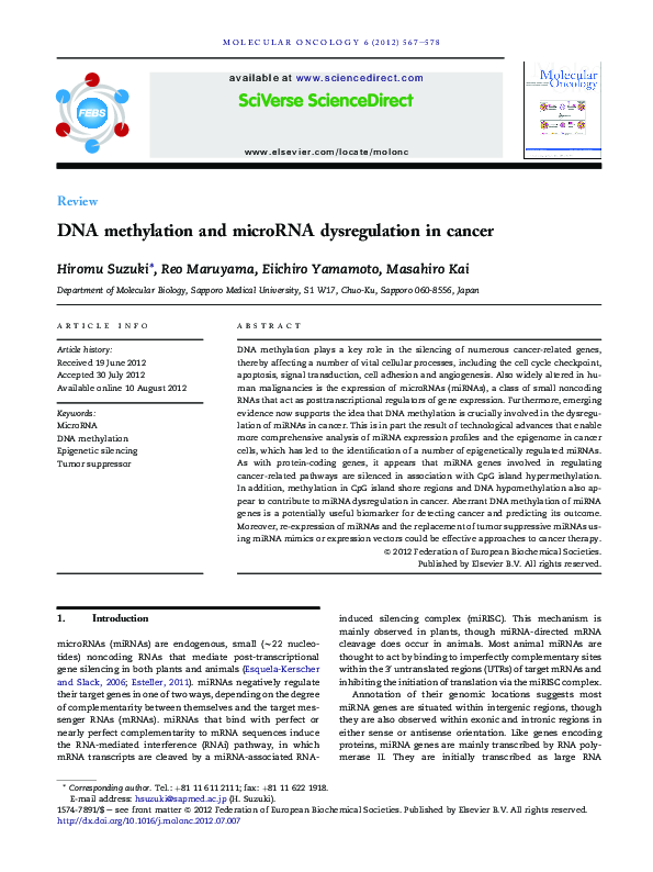 (PDF) DNA methylation and microRNA dysregulation in cancer