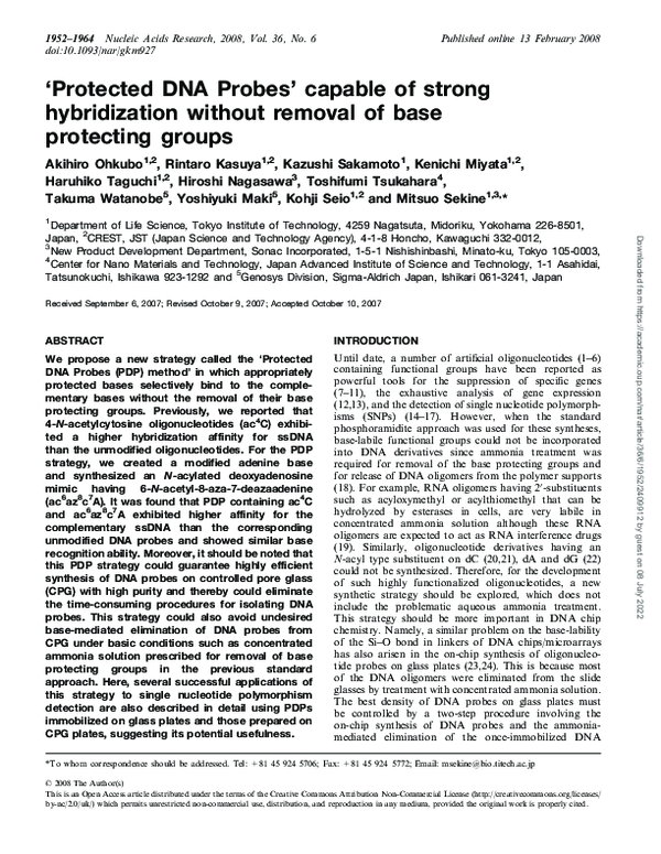 (PDF) ‘Protected DNA Probes’ capable of strong hybridization without ...