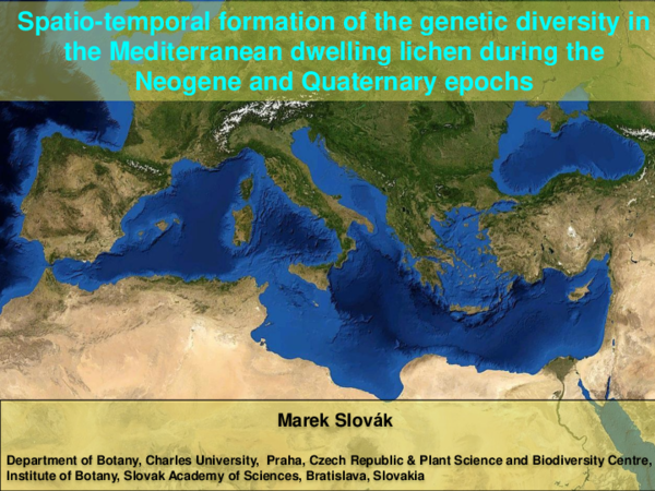 (PDF) Spatio-temporal formation of the genetic diversity in the ...
