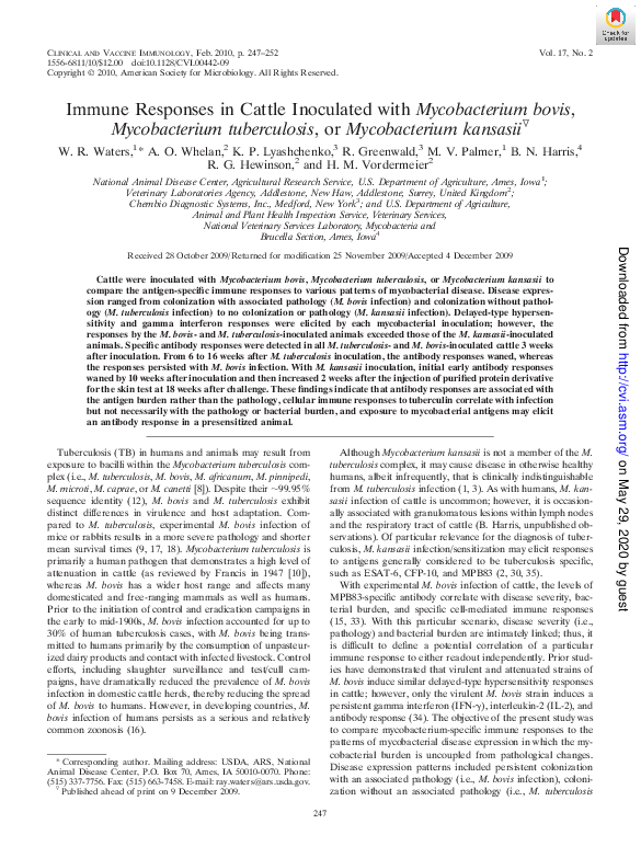 (PDF) Immune Responses in Cattle Inoculated with Mycobacterium bovis ...