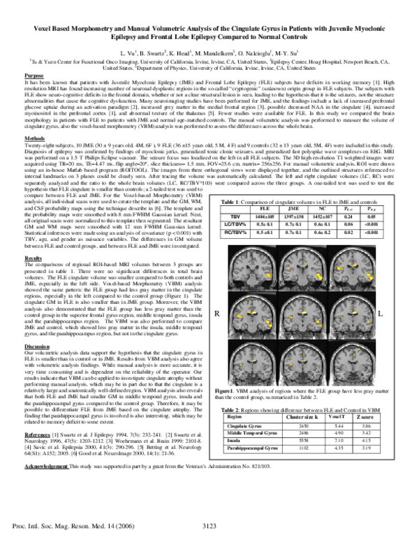 (PDF) Voxel Based Morphometry and Manual Volumetric Analysis of the ...