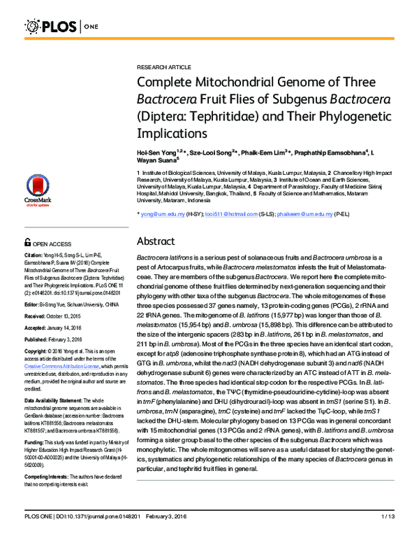 (PDF) Complete Mitochondrial Genome of Three Bactrocera Fruit Flies of ...