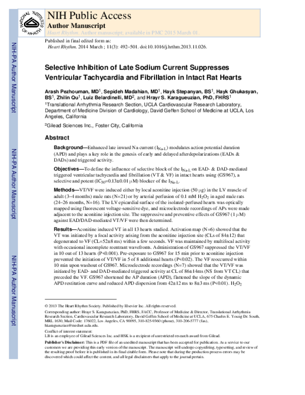 (PDF) Selective inhibition of late sodium current suppresses ...