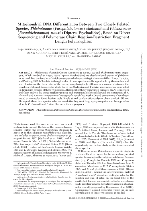 (PDF) Mitochondrial DNA Differentiation Between Two Closely Related ...