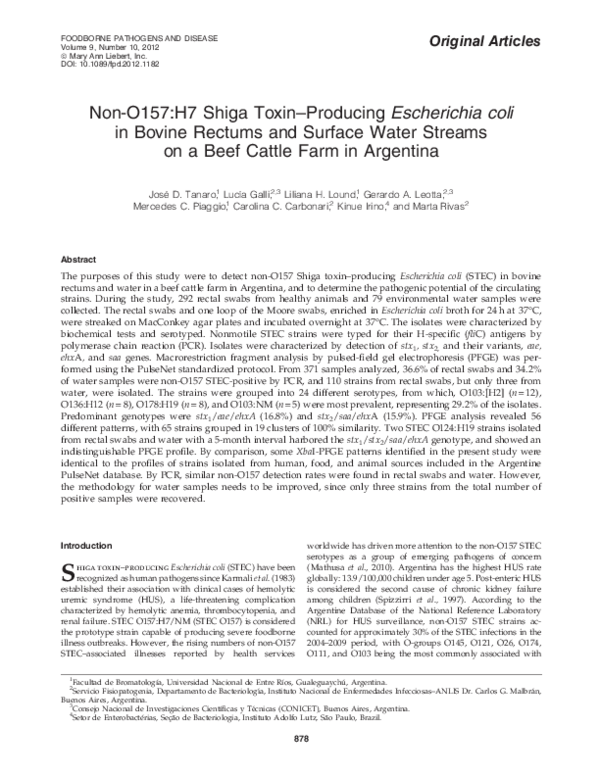 (PDF) Non-O157:H7 Shiga Toxin–Producing Escherichia coli in Bovine ...