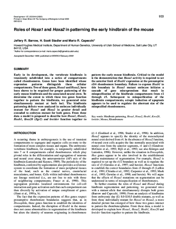 (PDF) Roles of Hoxa1 and Hoxa2 in patterning the early hindbrain of the ...