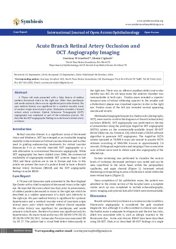 (PDF) Acute Branch Retinal Artery Occlusion and OCT Angiography Imaging