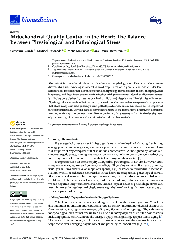 (PDF) Mitochondrial Quality Control in the Heart: The Balance between ...