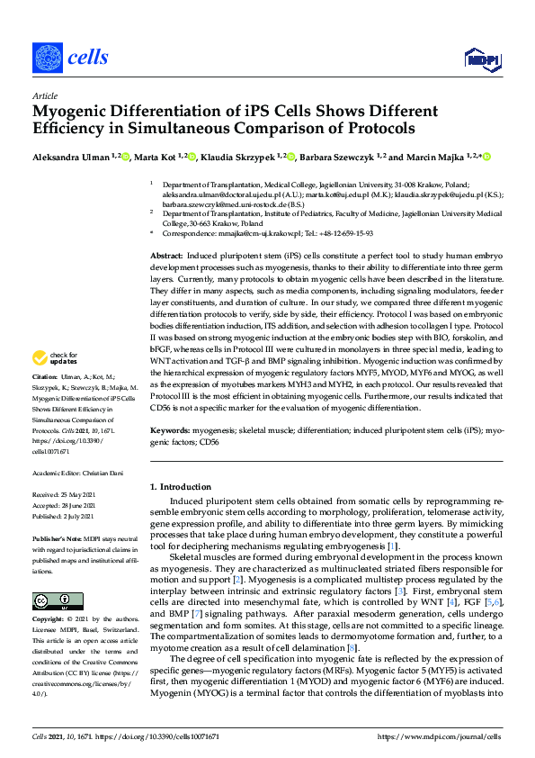 (PDF) Myogenic Differentiation of iPS Cells Shows Different Efficiency ...