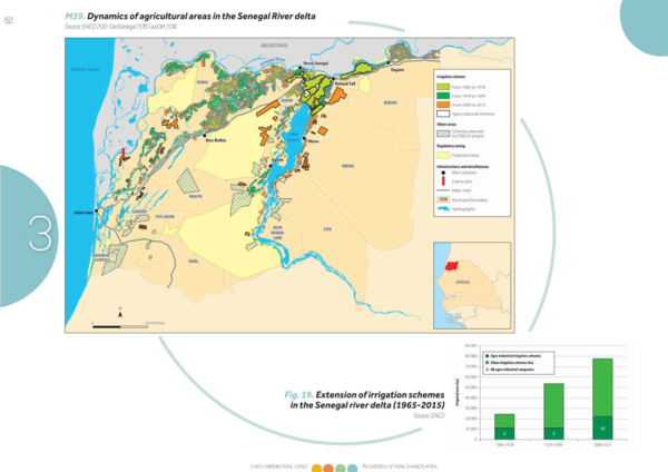 (PDF) The agricultural development model for the Senegal river delta