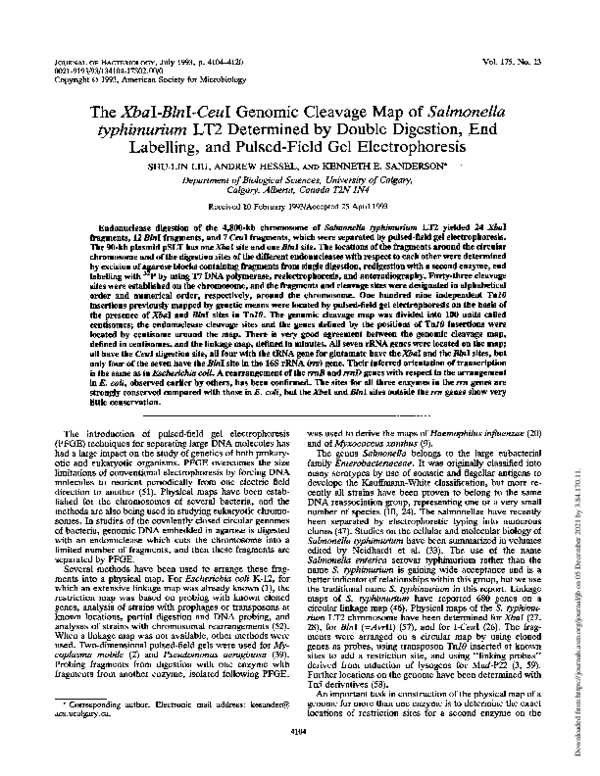 (PDF) The XbaI-BlnI-CeuI genomic cleavage map of Salmonella enteritidis ...