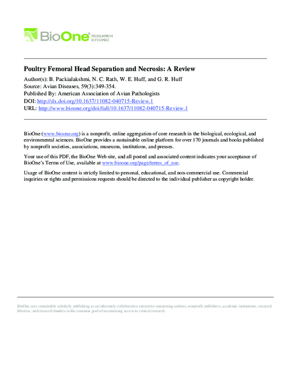 (PDF) Poultry Femoral Head Separation and Necrosis: A Review