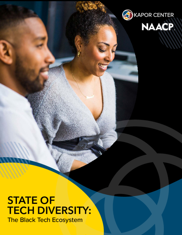 (PDF) State of Tech Diversity: The Black Tech Ecosystem