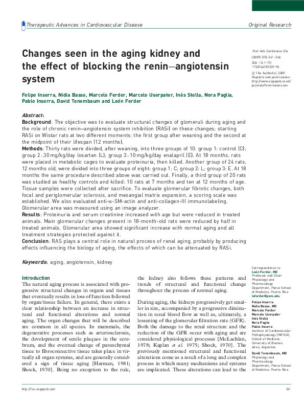 (PDF) Changes seen in the aging kidney and the effect of blocking the ...