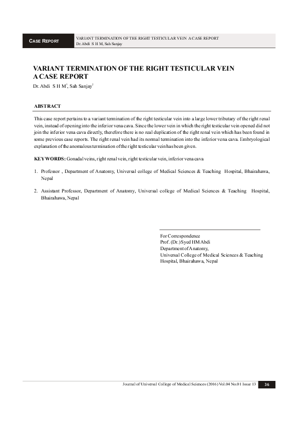 (PDF) Variant Termination of The Right Testicular Vein A Case Report