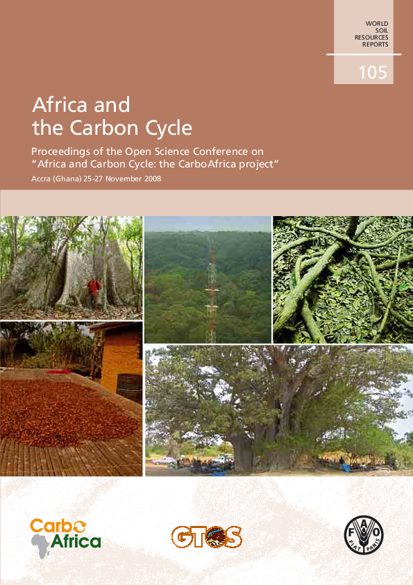 (PDF) Africa and the Carbon Cycle