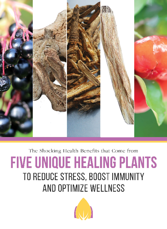 (PDF) Immunity Blend