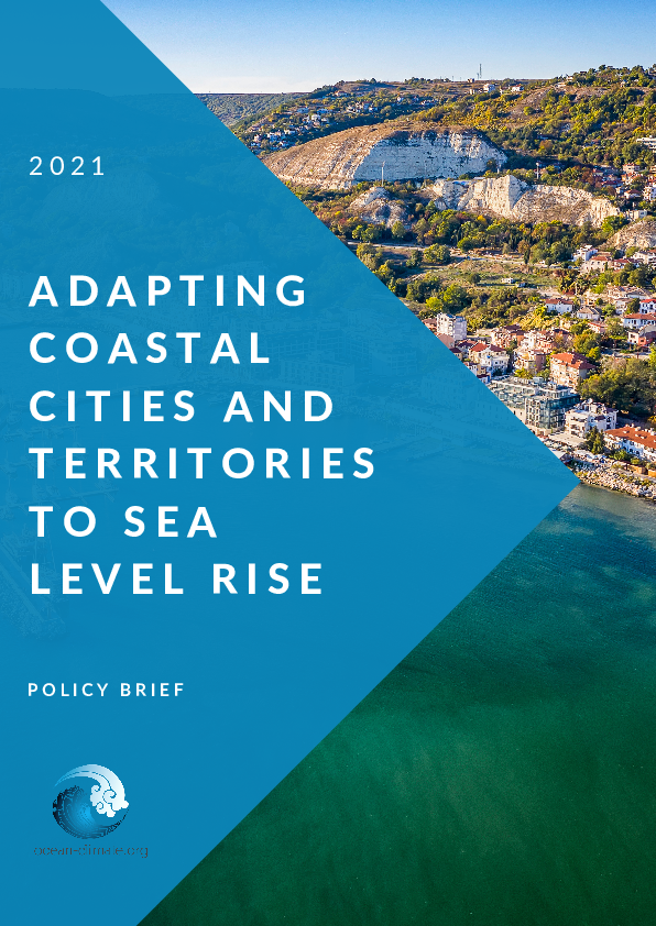 (PDF) ADAPTING COASTAL CITIES AND TERRITORIES TO SEA LEVEL RISE Policy ...