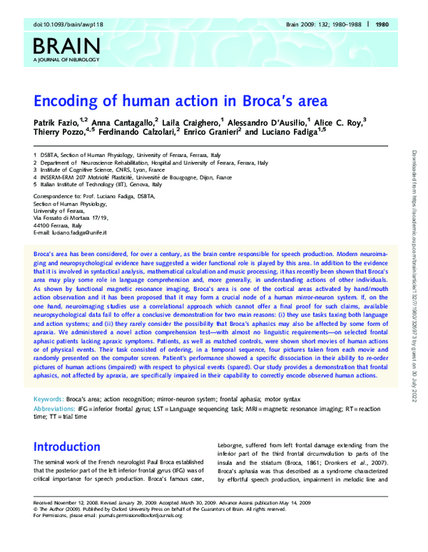 (PDF) Encoding of human action in Broca's area