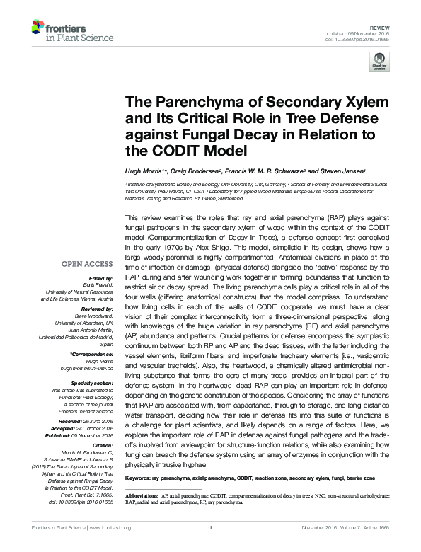(PDF) The Parenchyma of Secondary Xylem and Its Critical Role in Tree ...