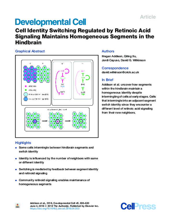 (PDF) Cell Identity Switching Regulated by Retinoic Acid Signaling ...