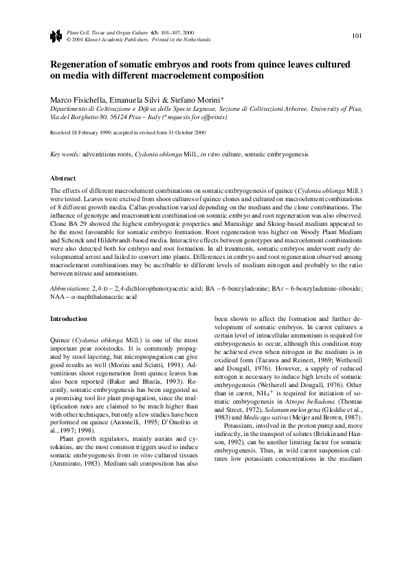 (PDF) Regeneration of somatic embryos and roots from quince leaves ...