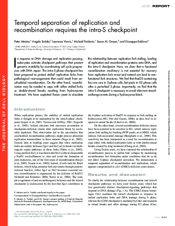 (PDF) Temporal separation of replication and recombination requires the ...