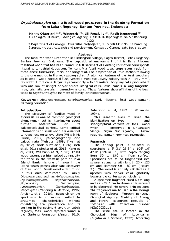 (PDF) Dryobalanoxylon sp. : a fossil wood preserved in the Genteng ...