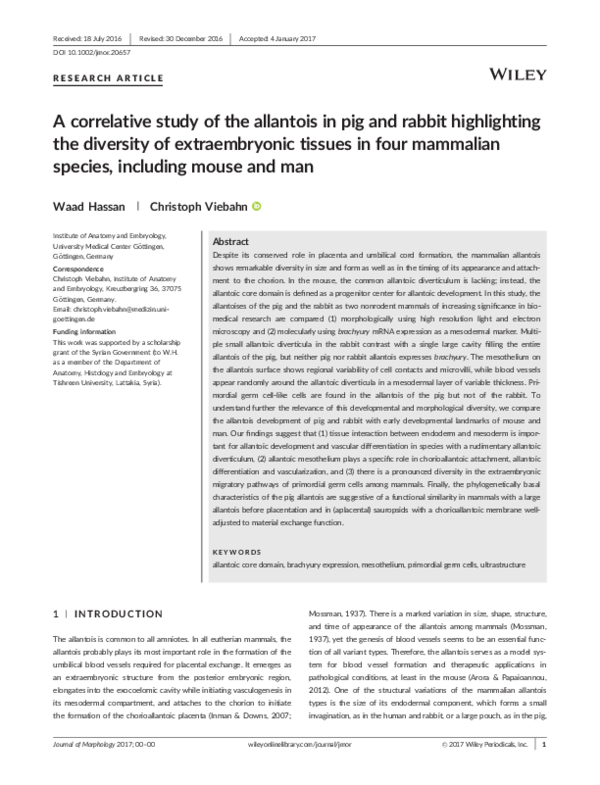 (PDF) A correlative study of the allantois in pig and rabbit ...