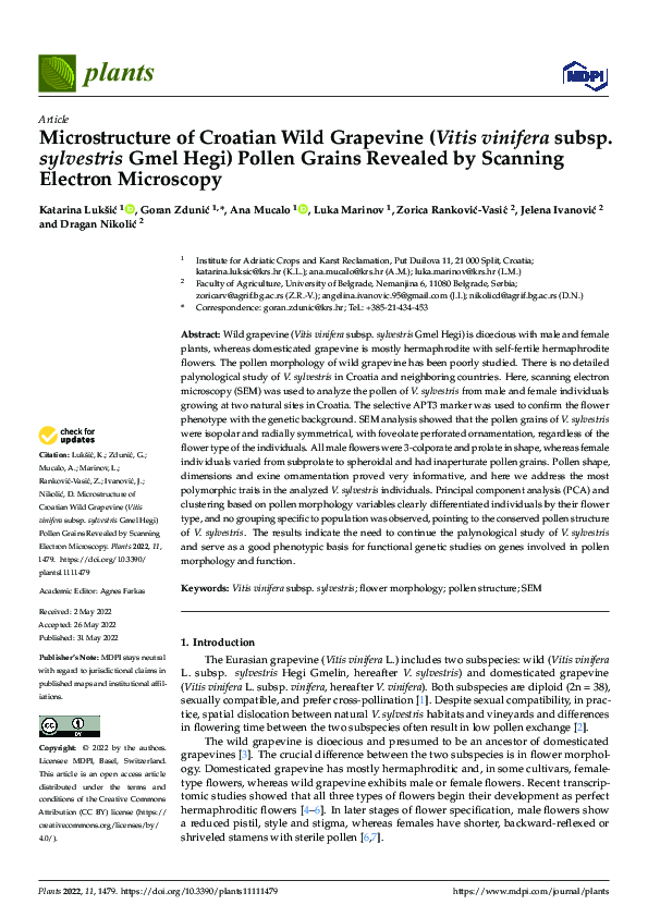 (PDF) Microstructure of Croatian Wild Grapevine (Vitis vinifera subsp ...