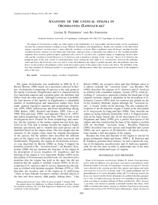 (PDF) Anatomy of the unusual stigma in Orchidantha (Lowiaceae)