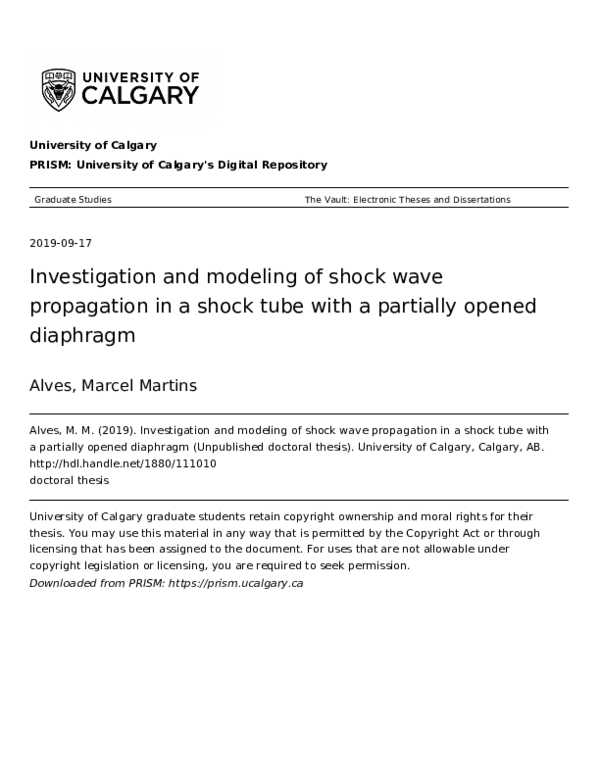 (PDF) Investigation and modeling of shock wave propagation in a shock ...