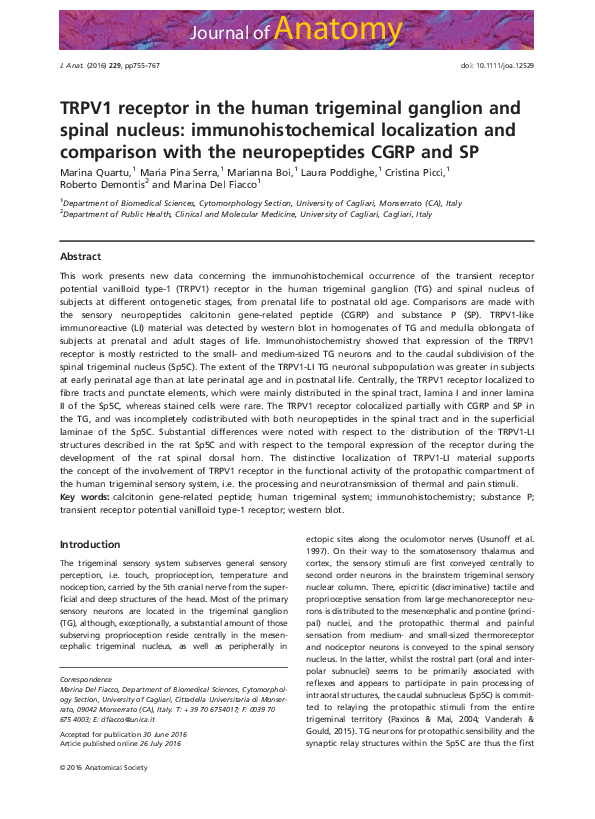 (PDF) TRPV1 receptor in the human trigeminal ganglion and spinal ...