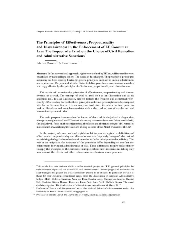 (PDF) The Principles of Effectiveness, Proportionality and ...