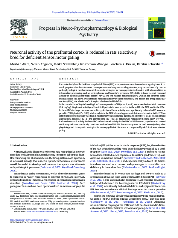 (PDF) Neuronal activity of the prefrontal cortex is reduced in rats ...