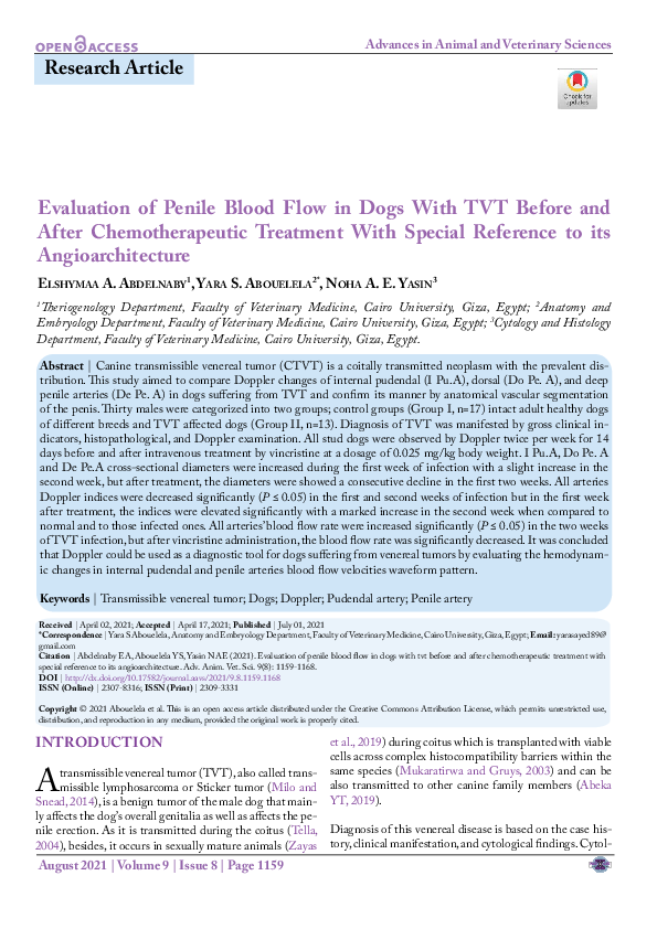 Evaluation And Treatment For Dogs photo