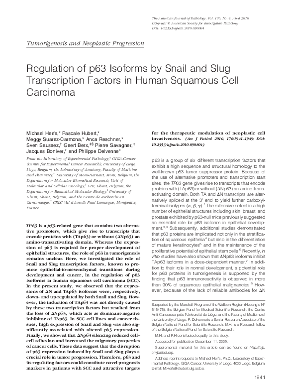 (PDF) Regulation of p63 Isoforms by Snail and Slug Transcription ...