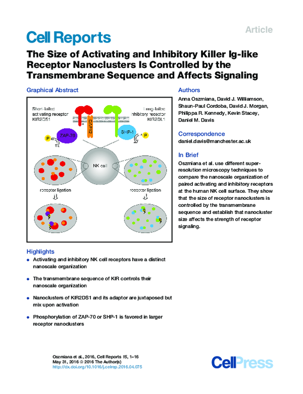 (PDF) The Size of Activating and Inhibitory Killer Ig-like Receptor ...