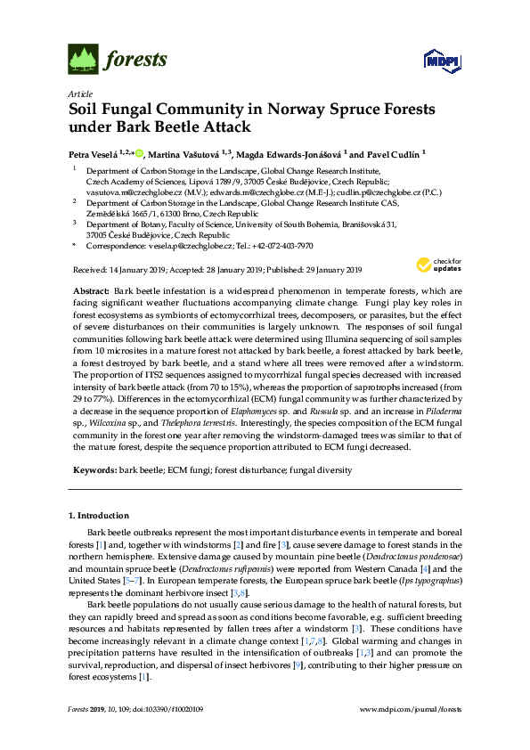 (PDF) Soil Fungal Community in Norway Spruce Forests under Bark Beetle ...
