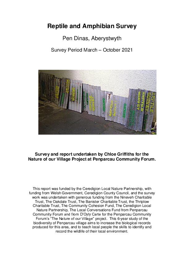 (PDF) Reptile and Amphibian Survey, Pen Dinas, Penparcau, Aberstwyth