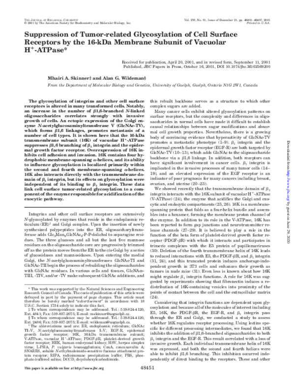 (PDF) Suppression of Tumor-related Glycosylation of Cell Surface ...