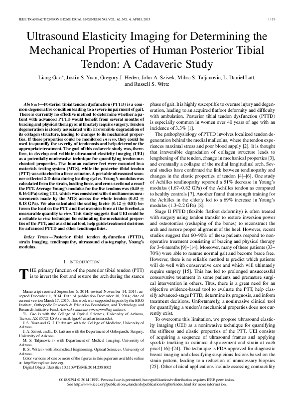 (PDF) Ultrasound elasticity imaging for determining the mechanical ...