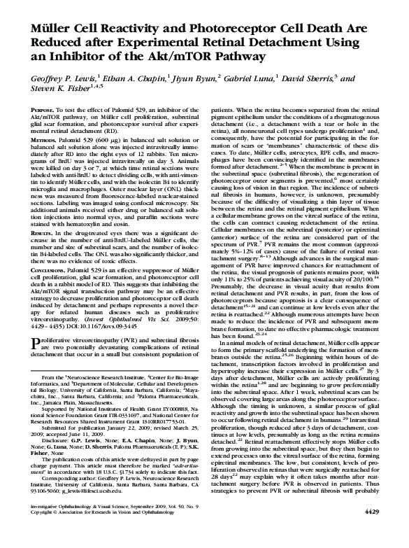 (PDF) Müller Cell Reactivity and Photoreceptor Cell Death Are Reduced ...