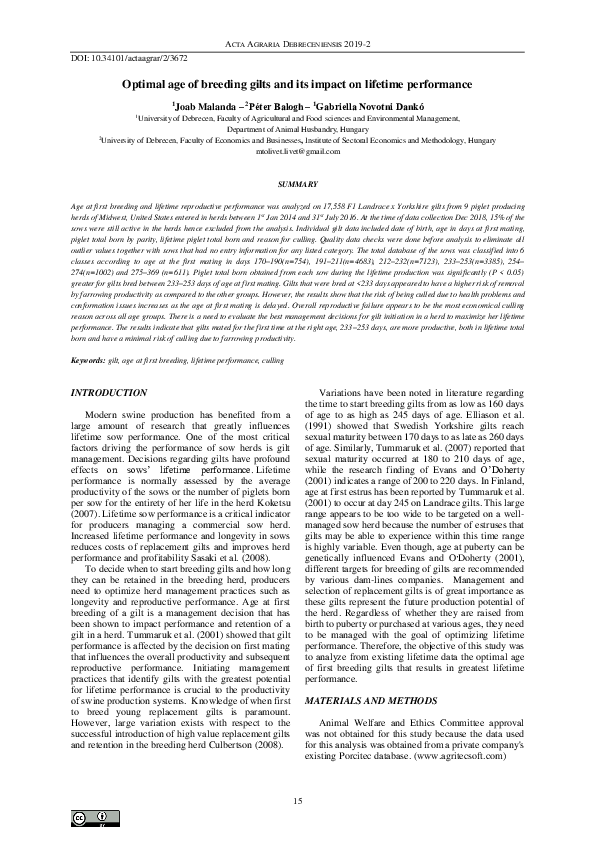 (PDF) Optimal age of breeding gilts and its impact on lifetime performance