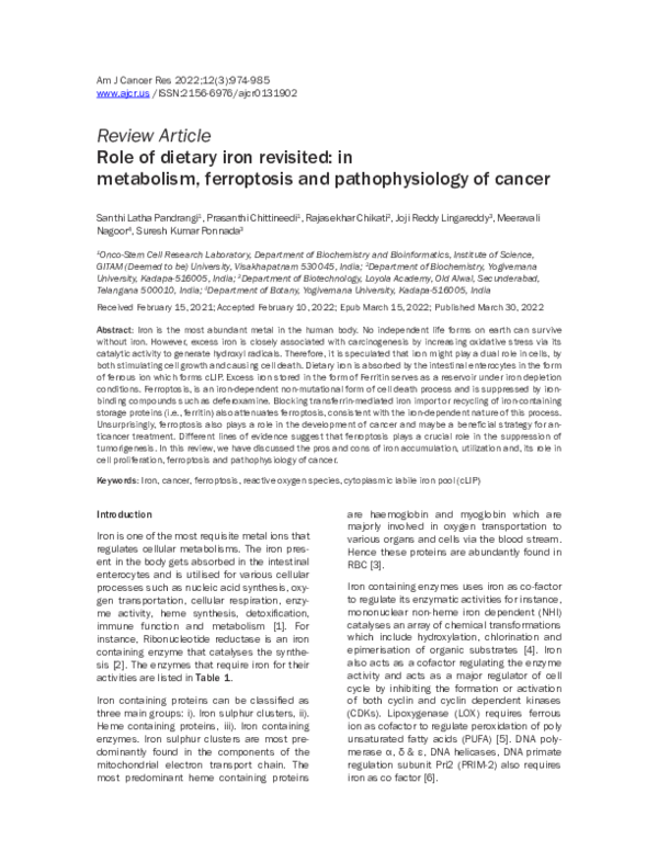 (PDF) Role of dietary iron revisited: in metabolism, ferroptosis and ...