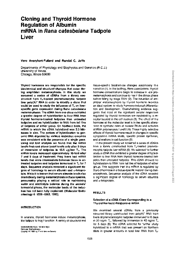 (PDF) Cloning and Thyroid Hormone Regulation of Albumin mRNA inRana ...