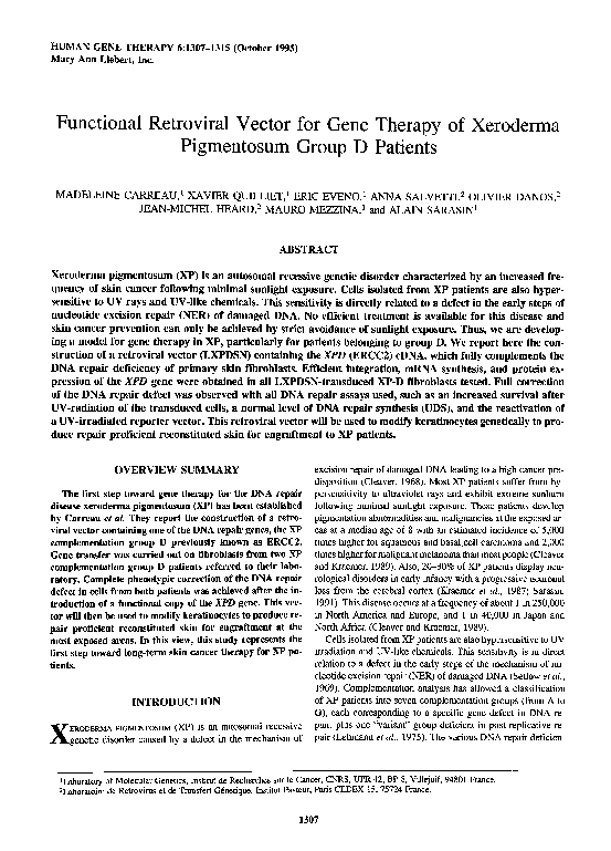 (PDF) Functional Retroviral Vector for Gene Therapy of Xeroderma ...