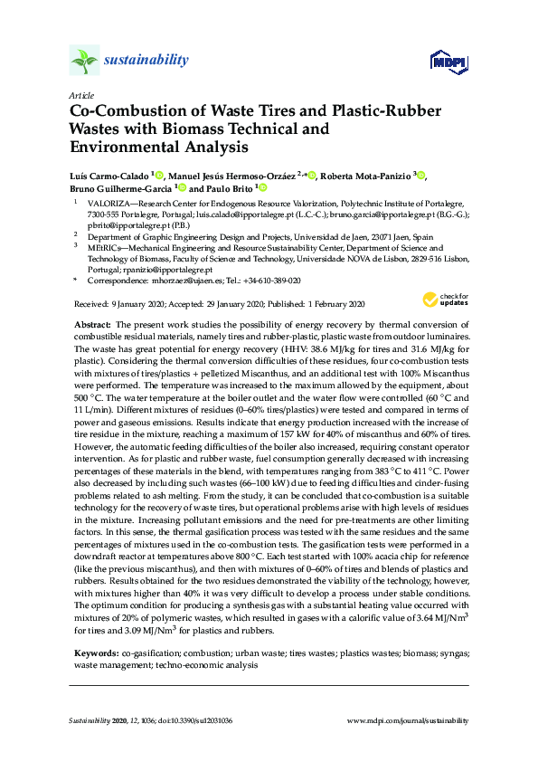 (PDF) Co-Combustion of Waste Tires and Plastic-Rubber Wastes with ...